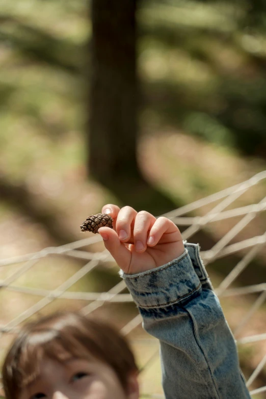 a little boy that is sitting in a hammock, a picture, by Adam Marczyński, pexels contest winner, land art, closeup of hand, moths, pinecone, torn mesh