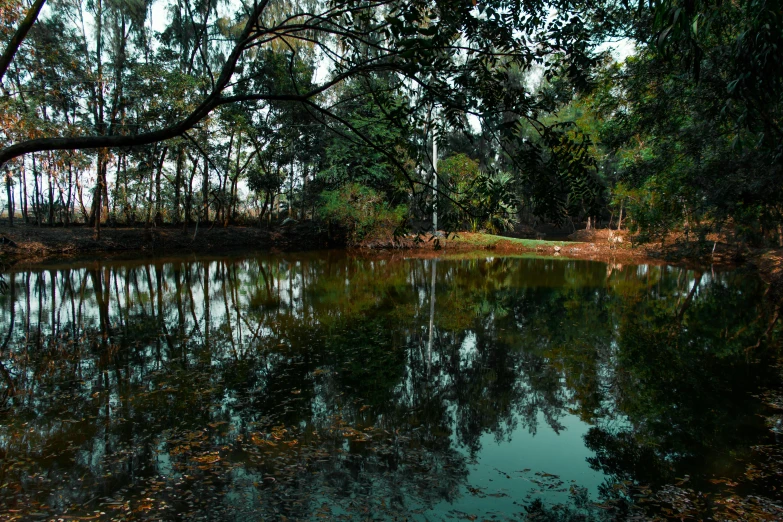 a large body of water surrounded by trees, by Elizabeth Durack, unsplash, australian tonalism, kerala village, mirror world, fan favorite, ponds