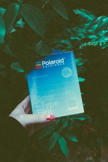 a person holding a polaroid camera in their hand, inspired by Elsa Bleda, color field, vhs overlay, green and blue tones, thin film, colorful aesthetic