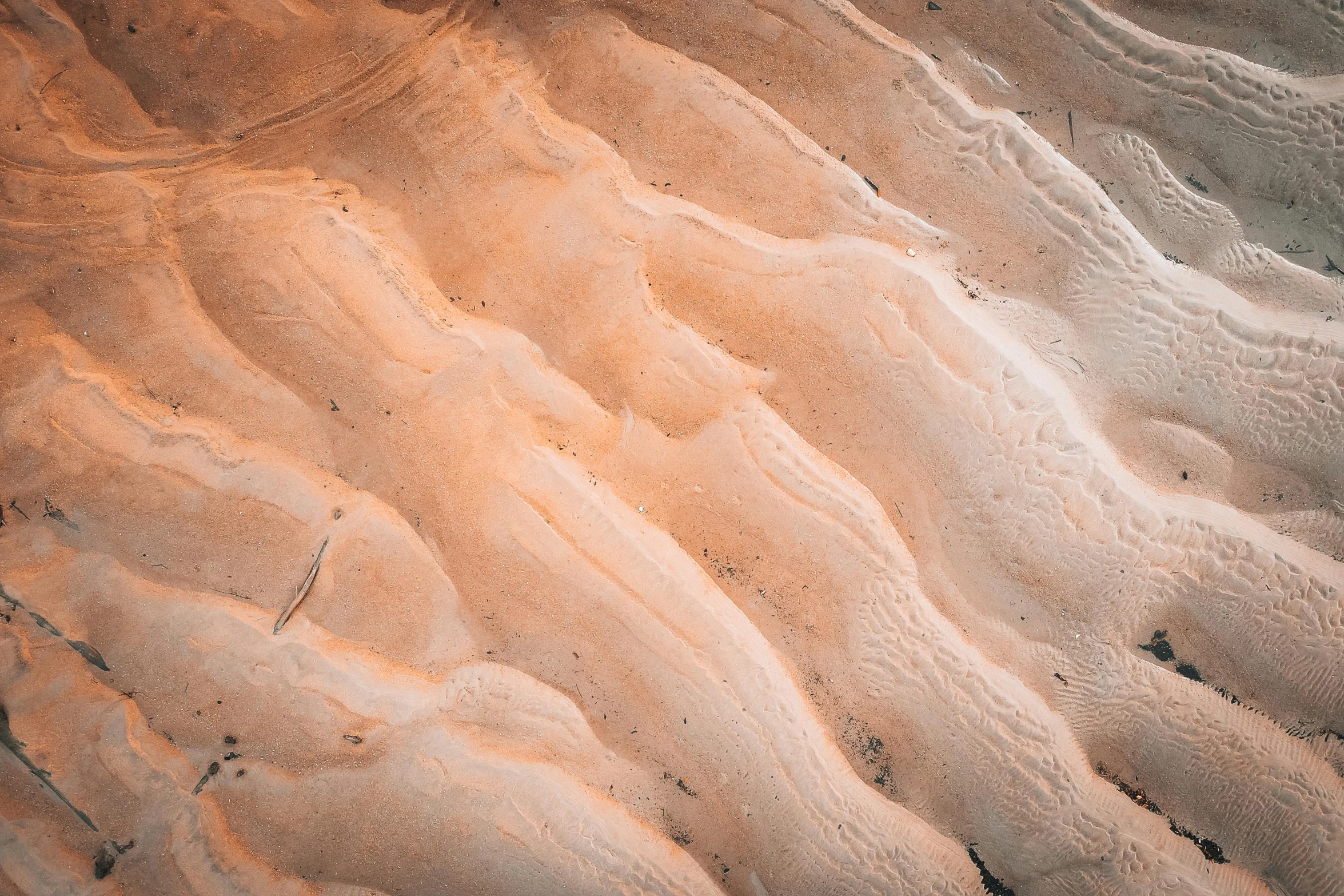 a red fire hydrant sitting on top of a sandy beach, a microscopic photo, by Adam Marczyński, trending on pexels, plasticien, wrinkled muscles skin, in shades of peach, found in a cave made of clay, aerial iridecent veins