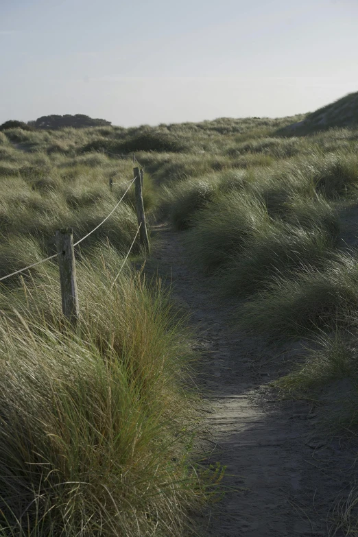 a path leads to the top of a grassy hill, inspired by Frederick Goodall, unsplash, land art, windy beach, 4k”