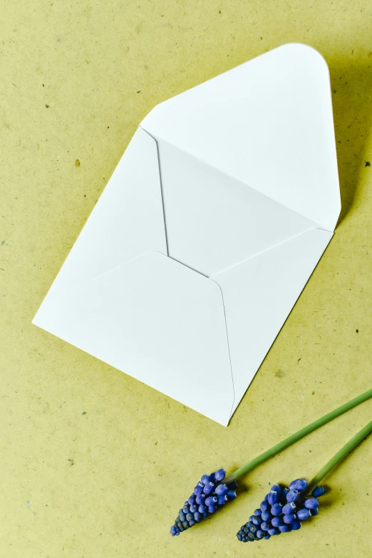 a white envelope sitting on top of a table next to a bunch of purple flowers, sustainable materials, close - up of face, folded geometry, promo image