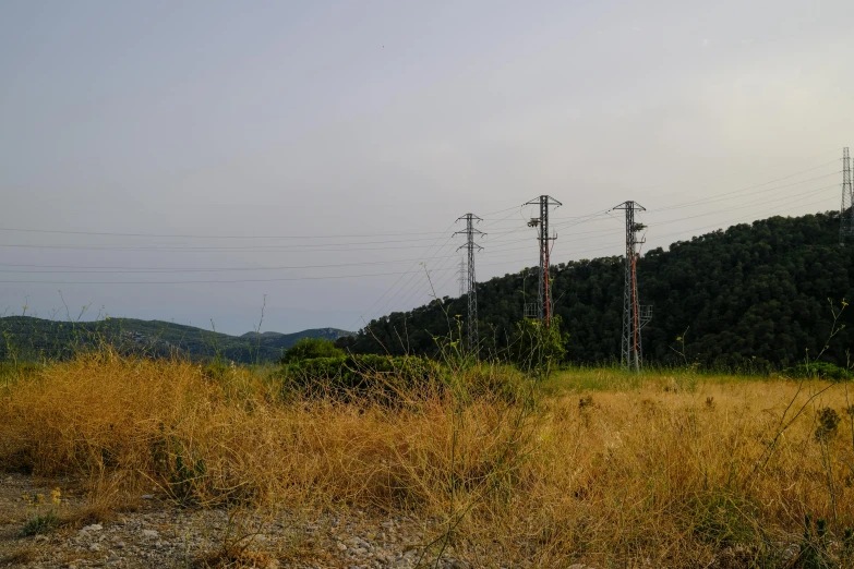 a red fire hydrant sitting in the middle of a field, by Edi Rama, les nabis, cable electric wires, hill with trees, low quality photo, cinematic shot ar 9:16 -n 6 -g