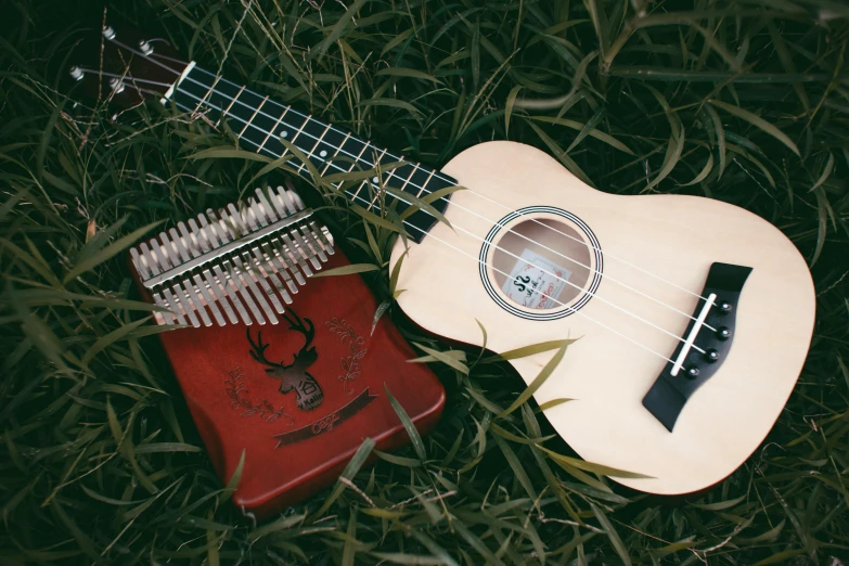 a white guitar sitting on top of a lush green field, an album cover, by Daniel Lieske, pexels contest winner, hurufiyya, ukulele, tiny sticks, pick wu, red flesh strings