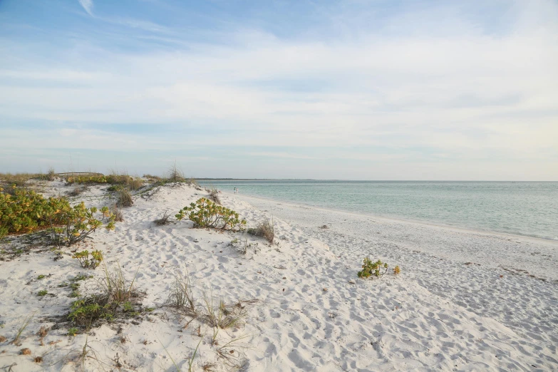 a sandy beach next to a body of water, white sand, profile image, beach on the outer rim, wide views