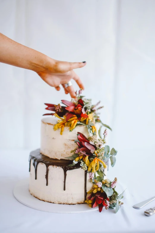 a close up of a cake on a table, trending on unsplash, hands in the air, made of flowers and leaves, “ iron bark, high light on the left