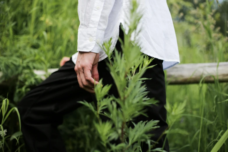 a man in a white shirt and black pants, by Alice Mason, unsplash, renaissance, marijuana greenery, loosely cropped, teasing, willow plant