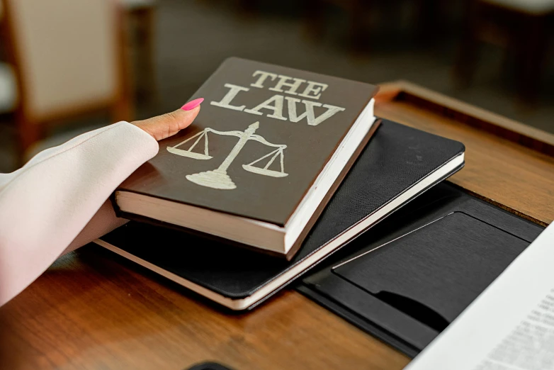 a person holding a book on top of a desk, law - alligned, brown
