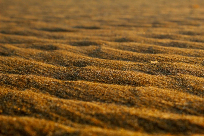 a pile of sand sitting on top of a sandy beach, the desert, up-close, ilustration