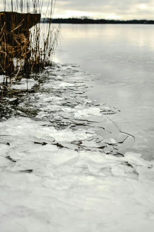 a fire hydrant sitting on top of a frozen lake, an album cover, trending on pexels, land art, floating crystals, reed on riverbank, textured like a carpet, grey