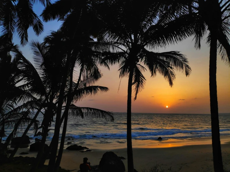 a couple of people sitting on top of a sandy beach, a palm tree, during a sunset