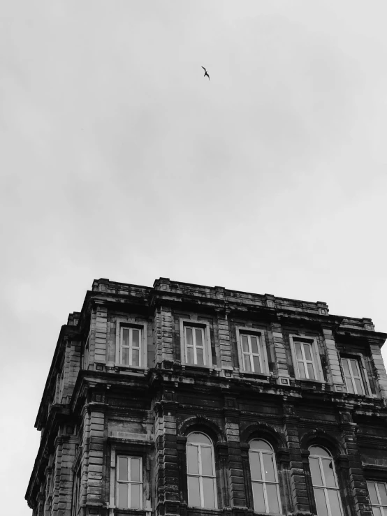 a black and white photo of a tall building, by Niyazi Selimoglu, royal palace, flying around the bird, trending on vsco, detailed medium format photo