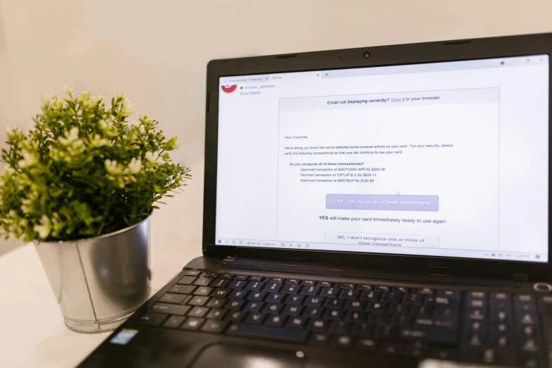 a laptop computer sitting on top of a desk next to a potted plant, a screenshot, happening, email, eal, crimson themed, healthcare