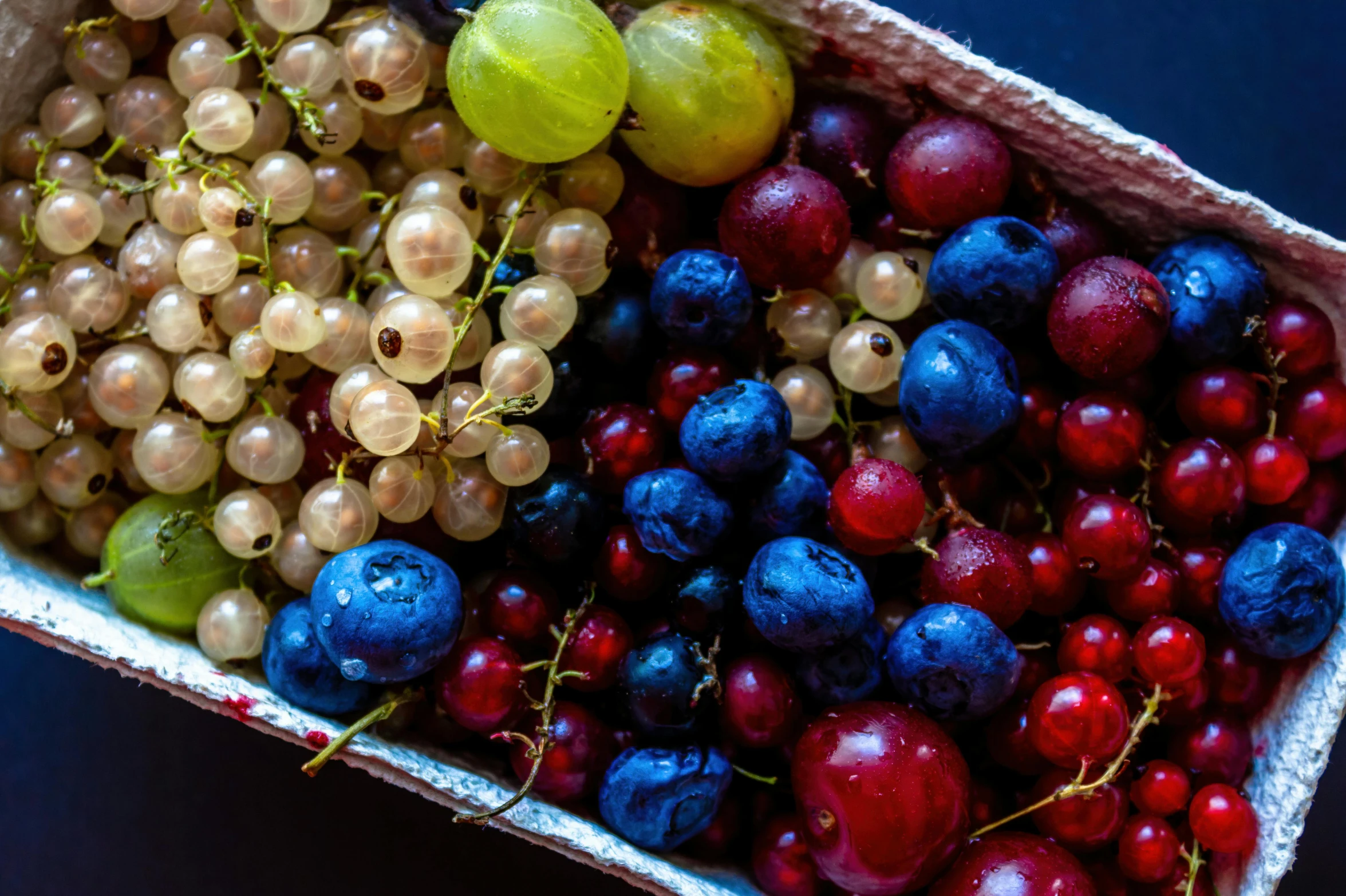 a close up of a box of grapes and grapes, by Niko Henrichon, unsplash, bauhaus, red blue and gold color scheme, “berries, recipe, thumbnail