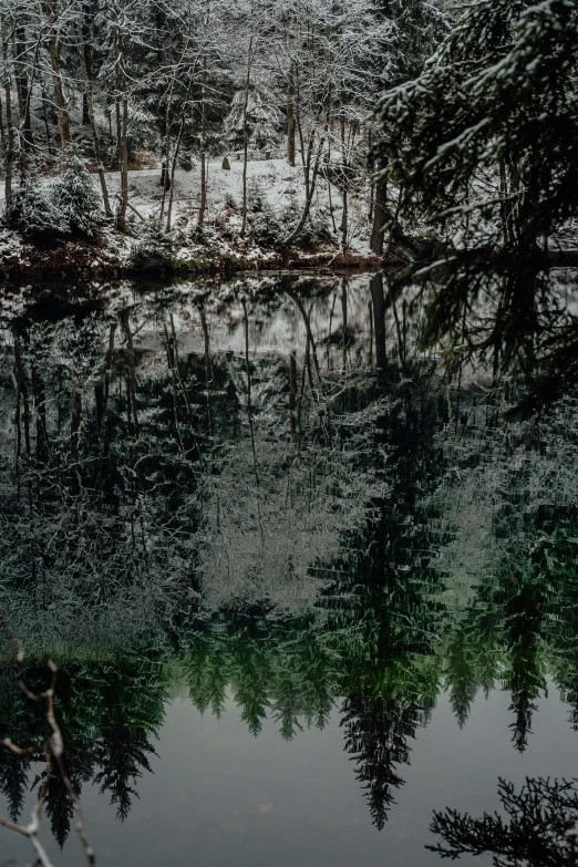 a body of water surrounded by trees covered in snow, inspired by Elsa Bleda, reflections and refraction, dark green water, black forest, upside - down