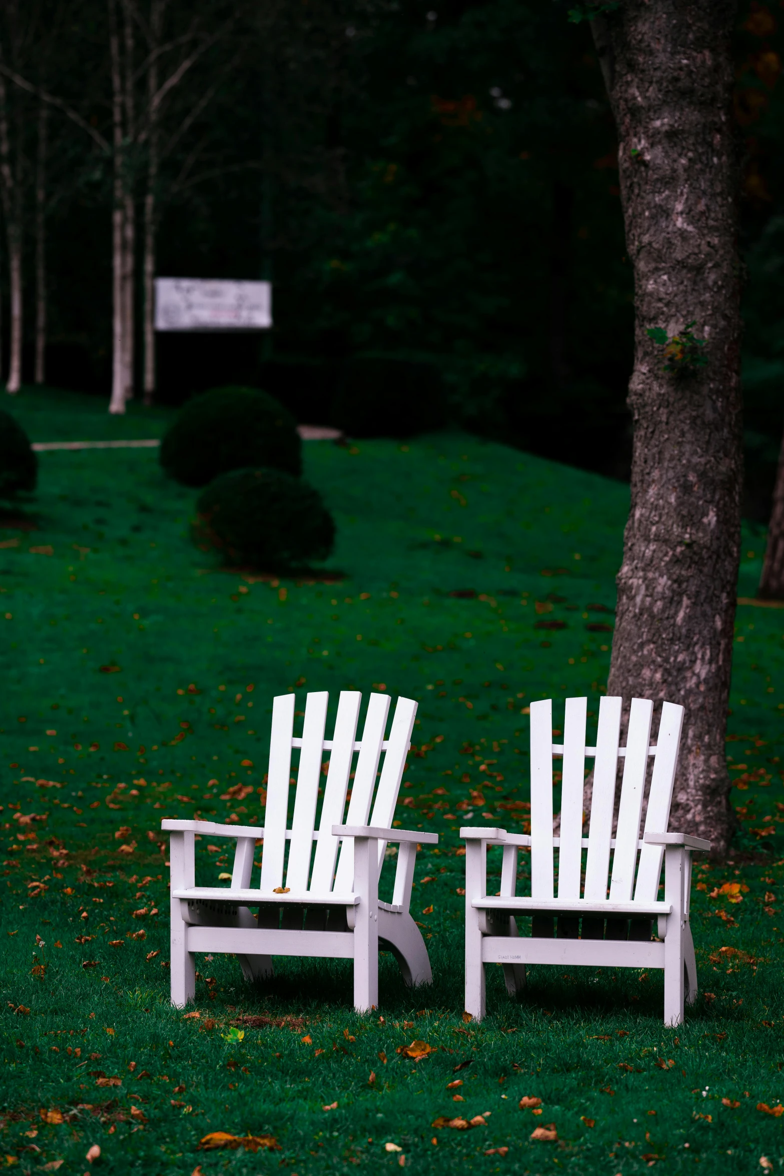 two white chairs sitting on top of a lush green field, curved trees, 1997 ), new hampshire, white wood