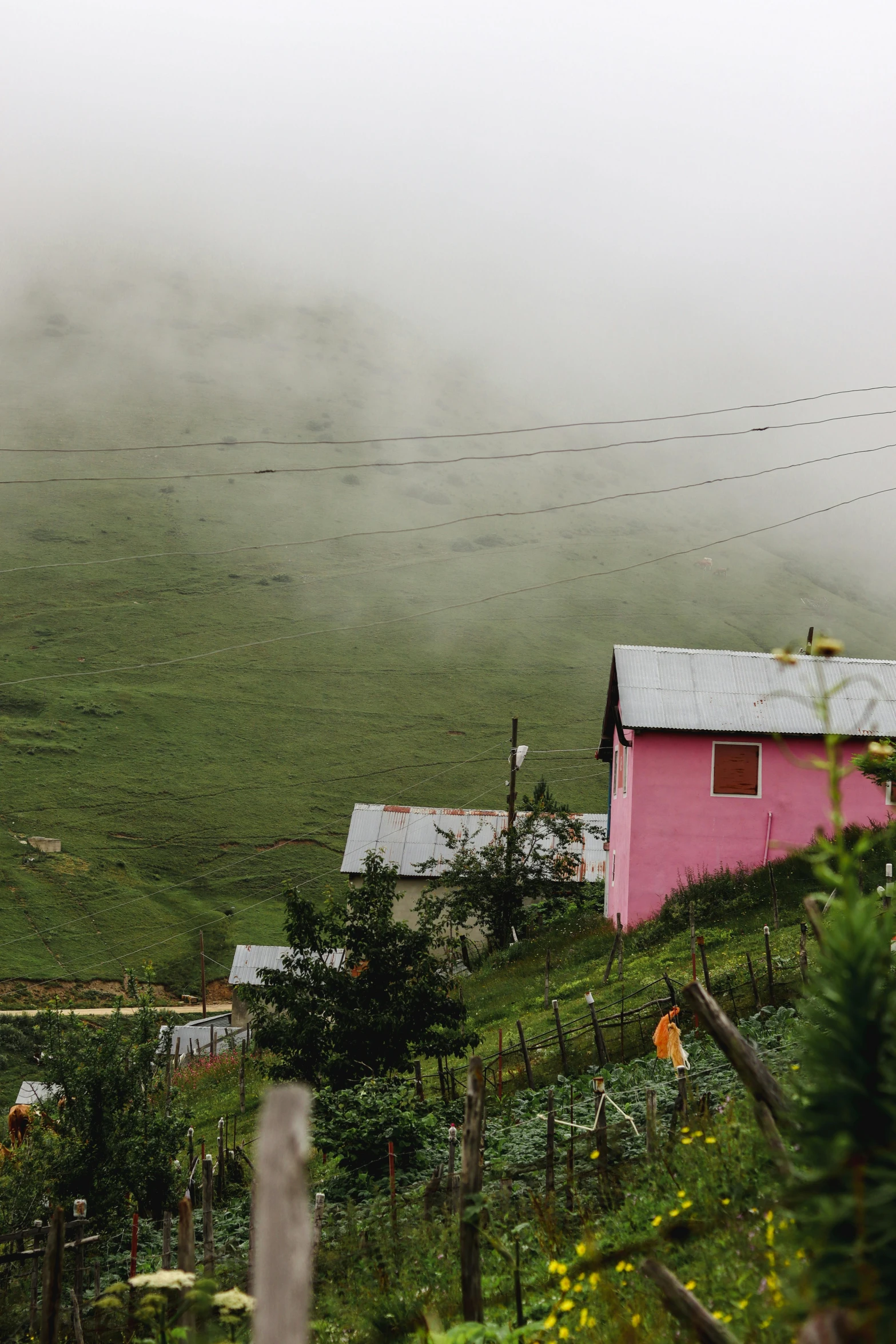 a pink house sitting on top of a lush green hillside, by Muggur, foggy!, overcast day, film photo, valley