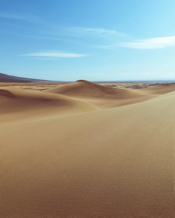 a person riding a horse in the desert, on the sand