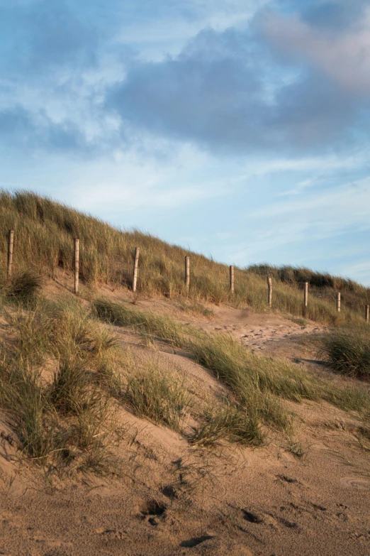 a red fire hydrant sitting on top of a sandy beach, by Daniel Seghers, unsplash, land art, girl walking between dunes, fence line, late summer evening, midlands