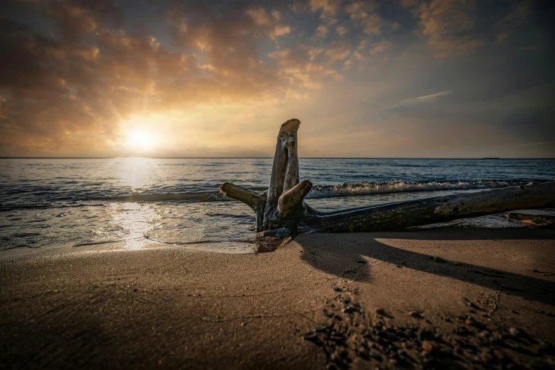 a log sitting on top of a beach next to the ocean, pexels contest winner, romanticism, sunset lighting 8k, driftwood sculpture, paul barson, slide show