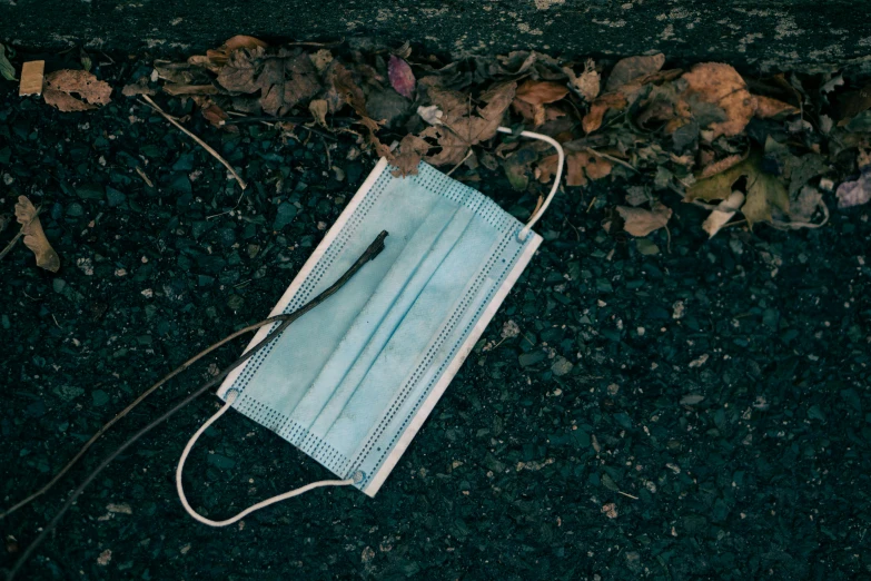 a face mask laying on the ground next to leaves, unsplash, surgical supplies, roadside, ignant, lost series
