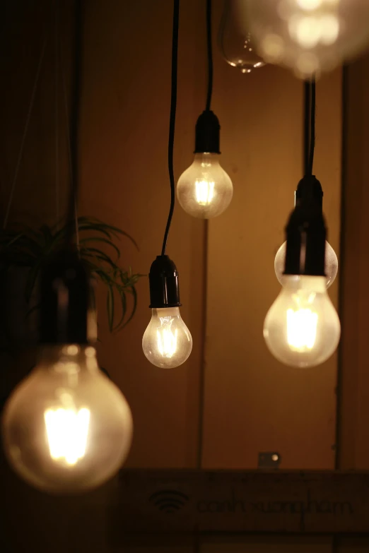 a bunch of light bulbs hanging from a ceiling, warmly lit, at home, subtle atmospheric lighting, commercially ready