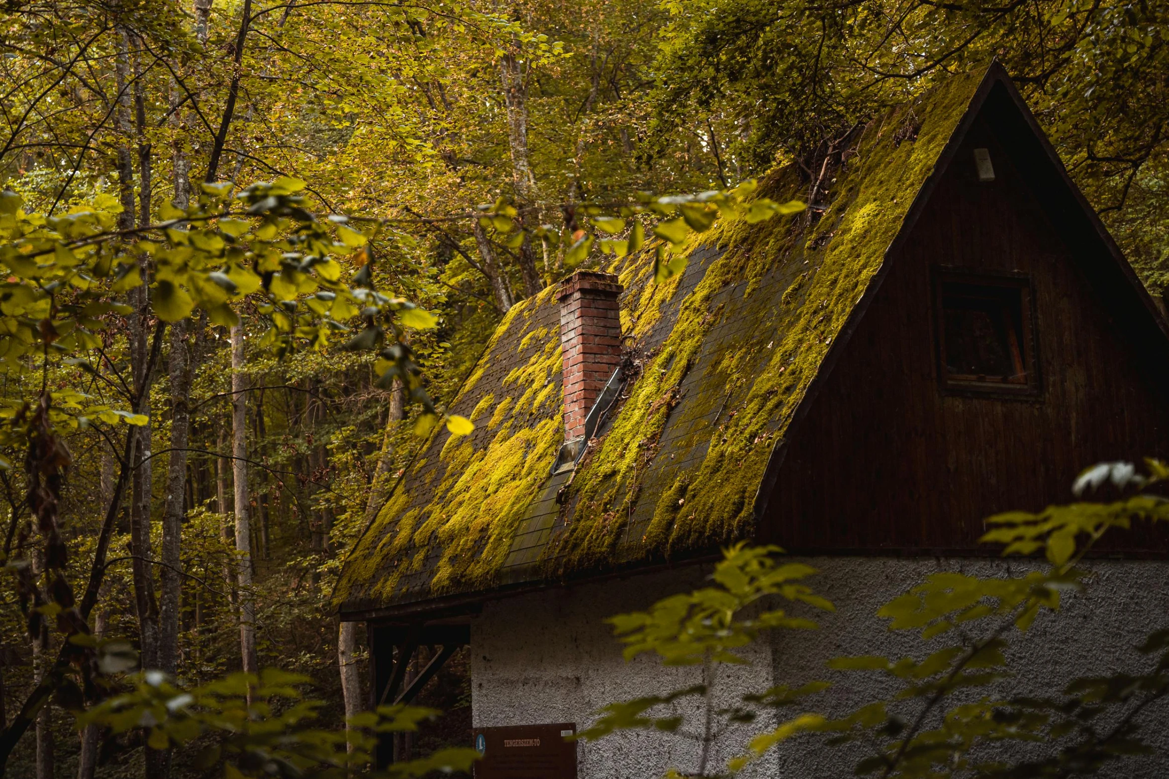 an old house with moss growing on the roof, a photo, inspired by Elsa Bleda, unsplash contest winner, yellow and green, german forest, autum, 2 0 0 0's photo