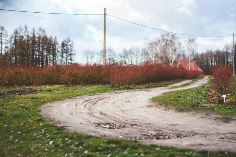 a dirt road in the middle of a field, by Thomas Häfner, unsplash, realism, red shell. dirt track, winter season, drifting around a corner, 2000s photo