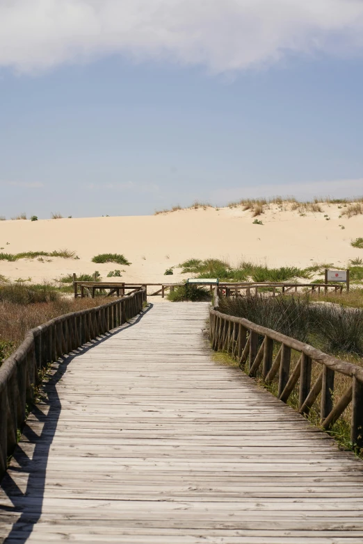 a wooden walkway leading to a sandy beach, by Altichiero, square, -n 9, van, savannah