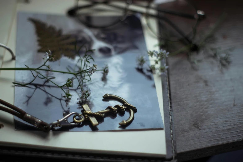 a pair of scissors sitting on top of a book, by Emma Andijewska, trending on pexels, romanticism, dead plants and flowers, close up shot of an amulet, atmospheric portrait, old photo scattered