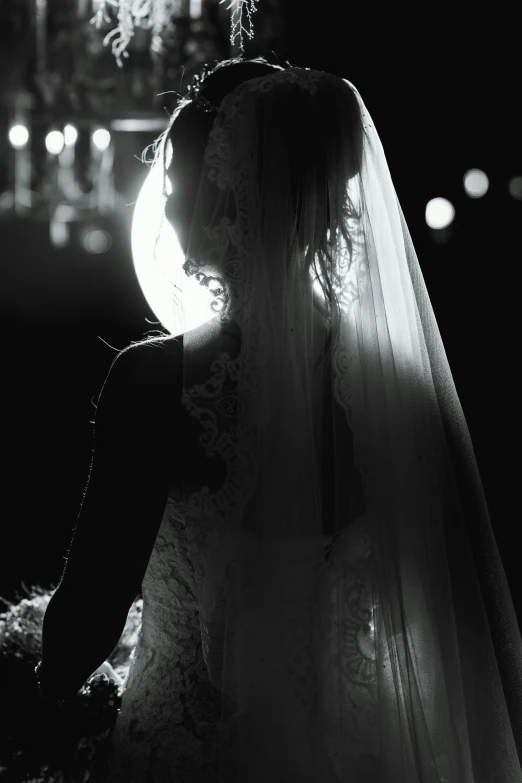 a black and white photo of a bride, by David Donaldson, pexels contest winner, romanticism, back lit, ( ( theatrical ) ), on stage, bride