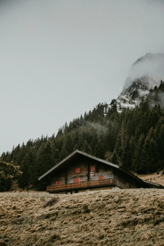 a cabin in the middle of a field with a mountain in the background, by Johannes Voss, pexels contest winner, renaissance, roofed forest, overcast gray skies, luxurious wooden cottage, built on a steep hill