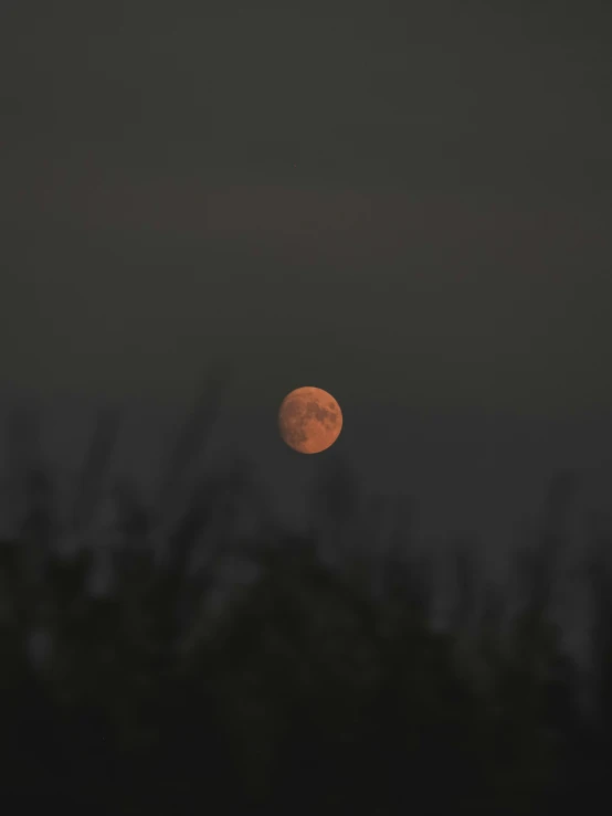 a full moon with trees in the background, by Attila Meszlenyi, pexels, the sky is a faint misty red hue, taken on iphone 14 pro, ilustration, 300mm telephoto bokeh