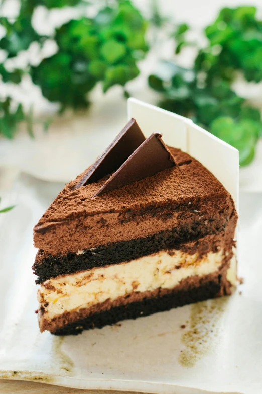 a piece of cake sitting on top of a white plate, black and brown, thumbnail, side angle, jaw dropping