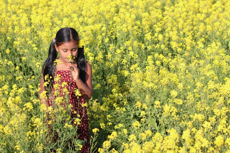 a little girl standing in a field of yellow flowers, pexels, naive art, indian girl with brown skin, eating, assamese aesthetic, portrait image