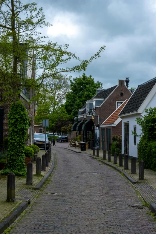 a cobblestone street lined with houses and trees, inspired by Willem de Poorter, western town, dutch angle, very very elegant, more coherent