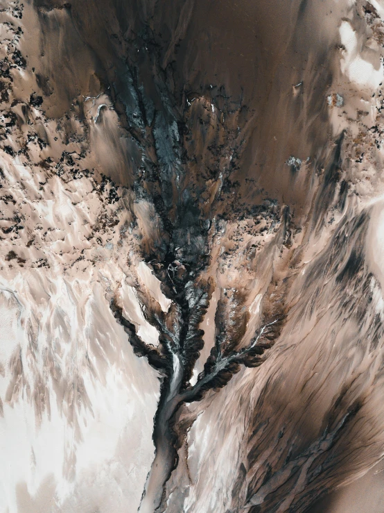 a painting of a tree in the middle of a desert, an abstract painting, by Thomas de Keyser, trending on unsplash, smothered in melted chocolate, dutch angle from space view, quixel megascans, glacier