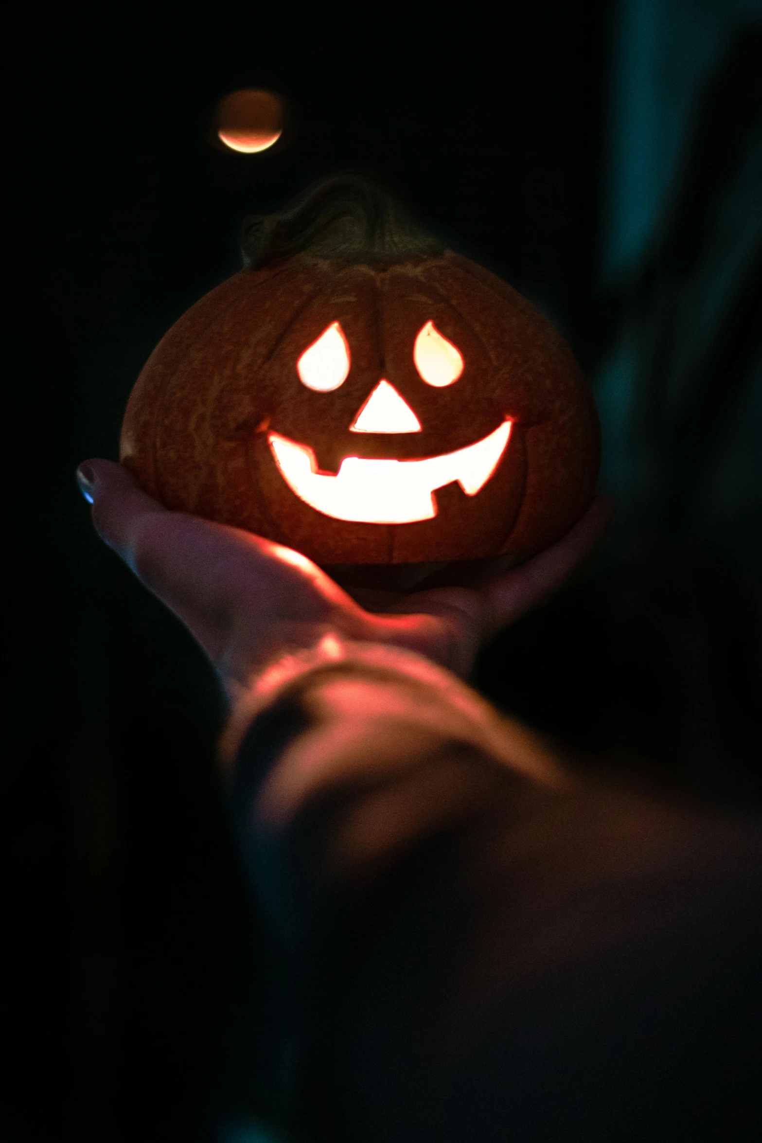 a person holding a lit pumpkin in their hand, slide show, spooky, 2 0 5 6, medium-shot