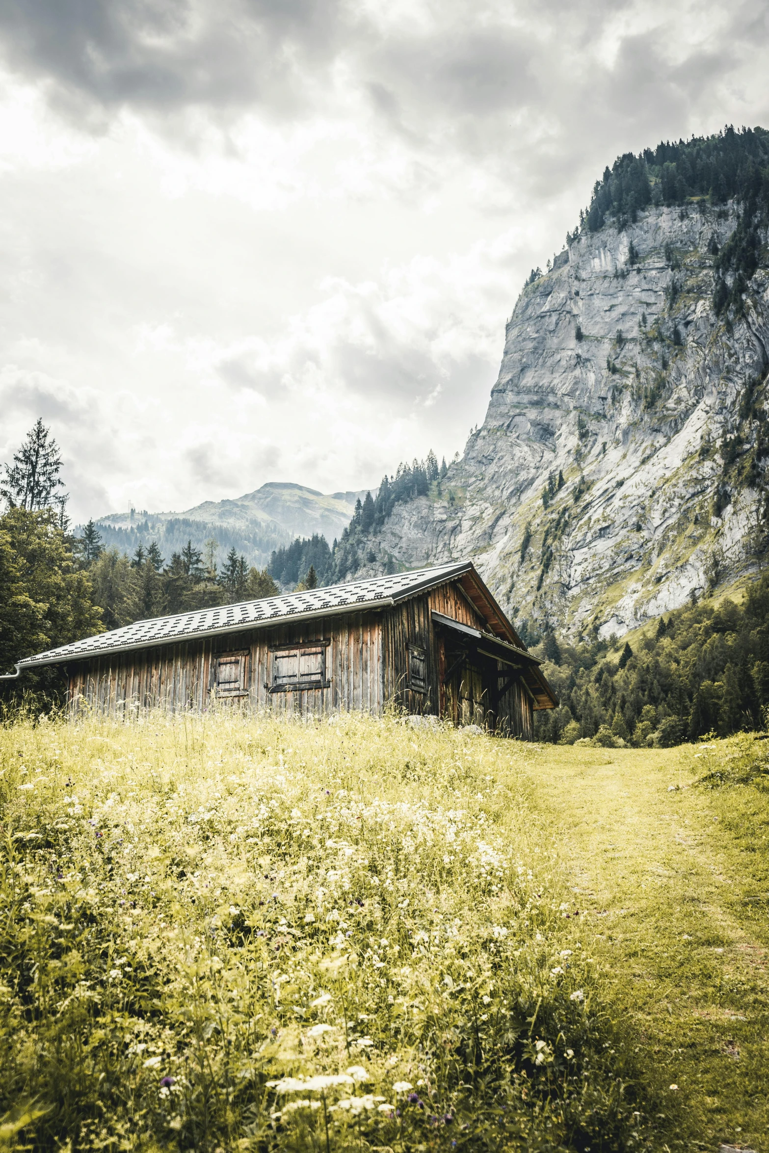 a cabin in a field with mountains in the background, by Otto Meyer-Amden, unsplash contest winner, renaissance, vintage color photo, cliffs, shed roof, lush surroundings