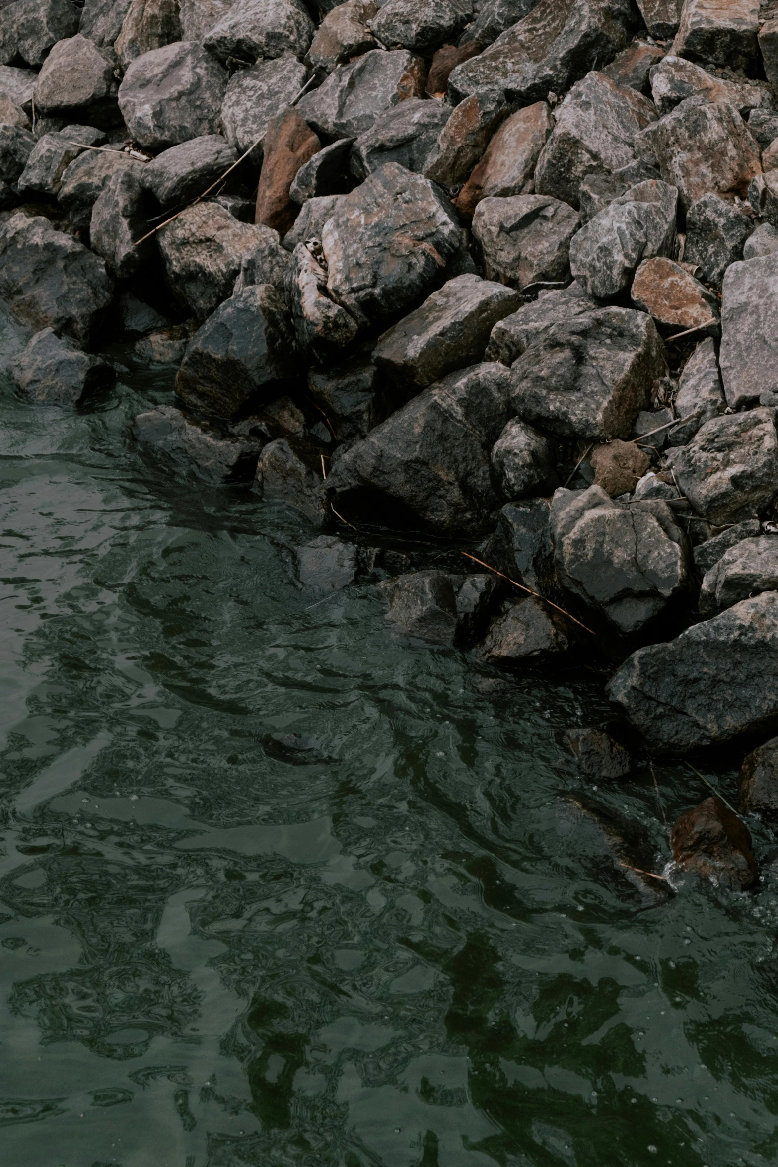 a pile of rocks sitting on top of a body of water, an album cover, unsplash, sewer, ((rocks)), grey, rippling