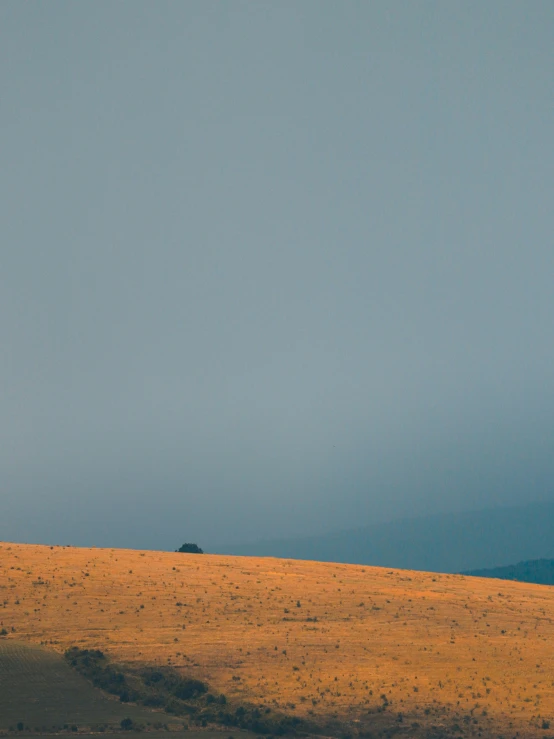 a giraffe standing on top of a lush green field, a minimalist painting, by Attila Meszlenyi, unsplash contest winner, minimalism, sitting atop a dusty mountaintop, panorama distant view, moody evening light, colour photograph