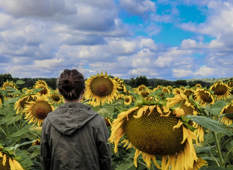a person standing in a field of sunflowers, a colorized photo, by Lucia Peka, pexels contest winner, hyperrealism, greta thunberg, facing away, taken in the late 2010s, album