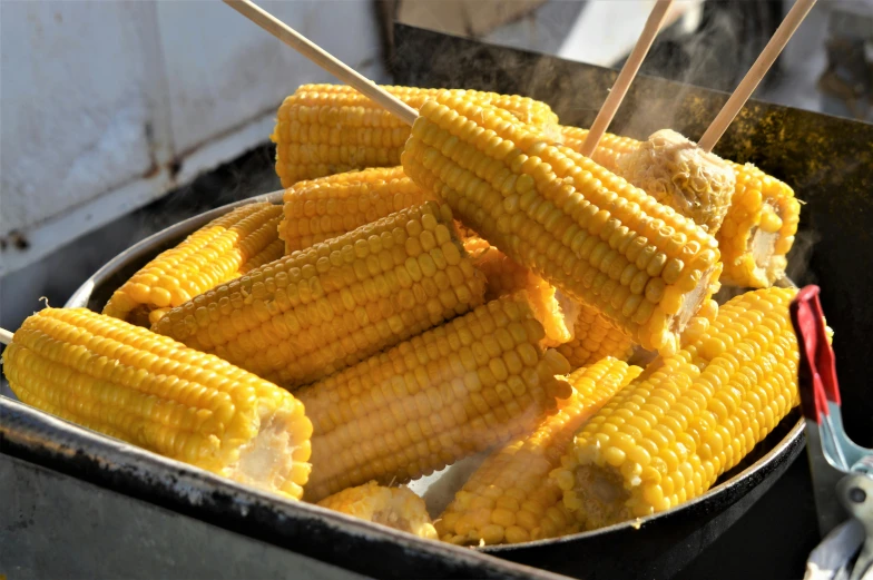 a bunch of corn is being cooked on a grill, by Carey Morris, pixabay, wearing a vest top, soup, chopsticks, 🦩🪐🐞👩🏻🦳