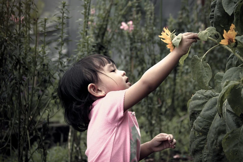 a little girl reaching for a flower in a garden, by Lucia Peka, pexels contest winner, visual art, avatar image, joy ang, cardboard, movie filmstill