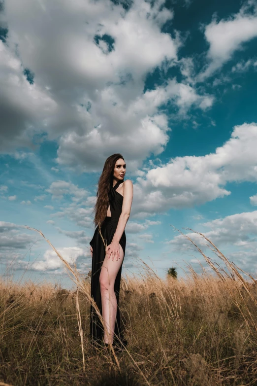 a woman in a black dress standing in a field, by Kristian Zahrtmann, pexels contest winner, photo of slim girl model, tall fluffy clouds, long, wearing a black bodysuit