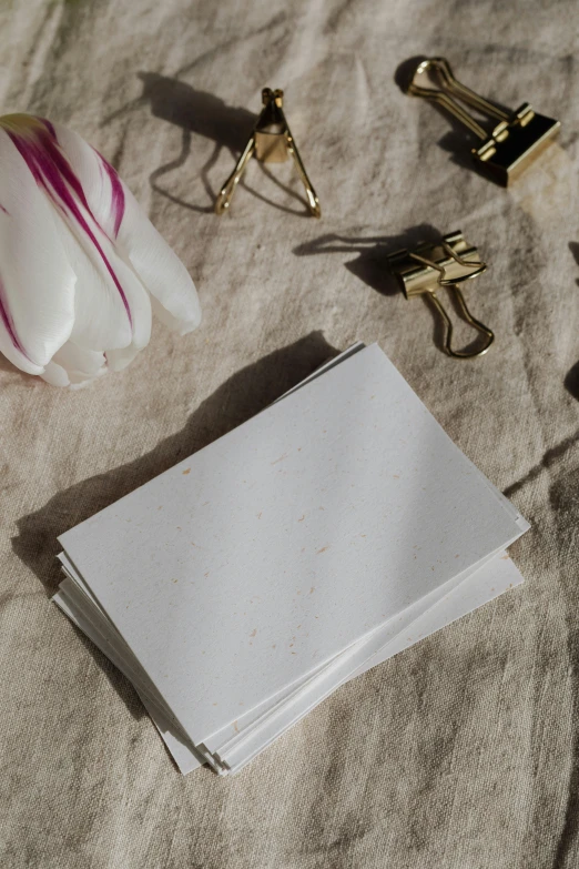 a pile of papers sitting on top of a bed, by Jessie Algie, unsplash, minimalism, pair of keycards on table, pressed flowers, white with gold accents, white freckles