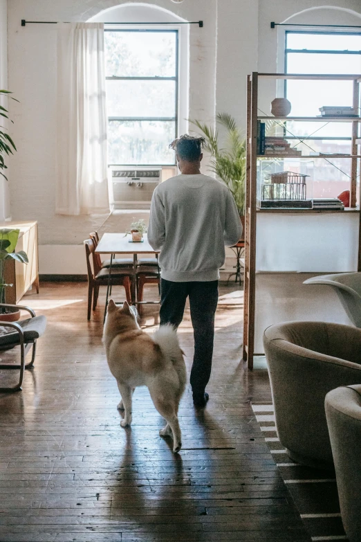 a man walking a dog through a living room, by Liza Donnelly, pexels contest winner, rundown new york apartment, al fresco, open plan, shibu inu