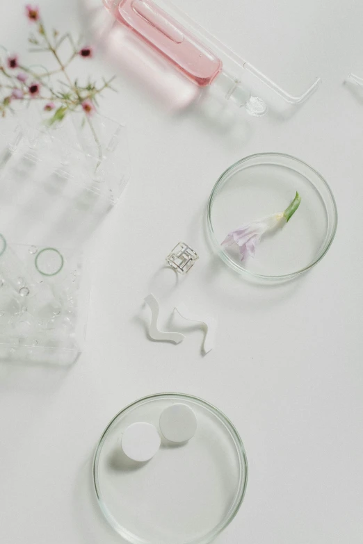 a bunch of items sitting on top of a table, by Nina Hamnett, aestheticism, transparent glass woman, clean white lab background, blooming, silver jewellery