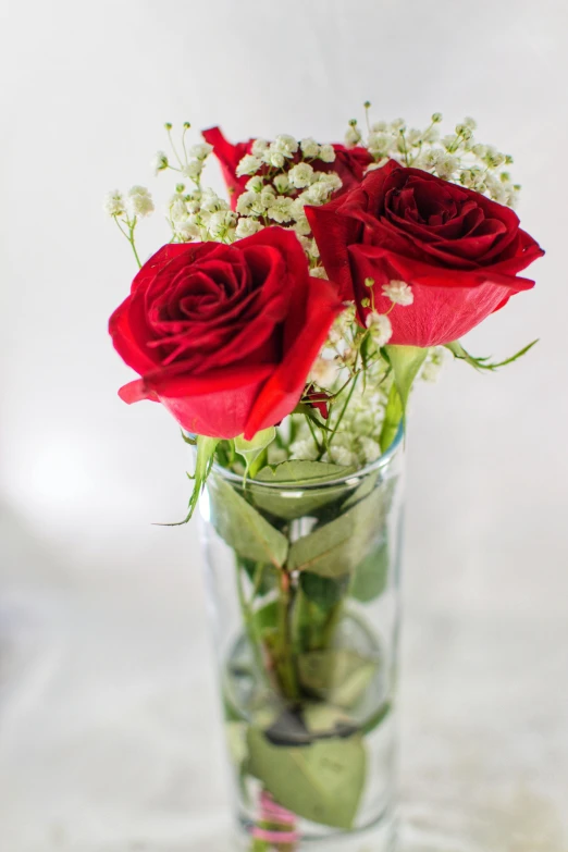 a vase filled with red roses and baby's breath, perfecly detailed, 3delight, simple details, long