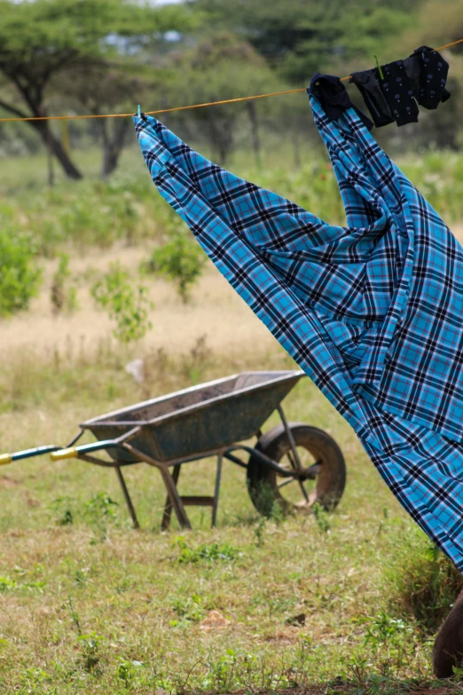 a man doing a handstand in a field, inspired by Pierre Puvis de Chavannes, unsplash, land art, fabrics textiles, cart, watering can, tartan garment